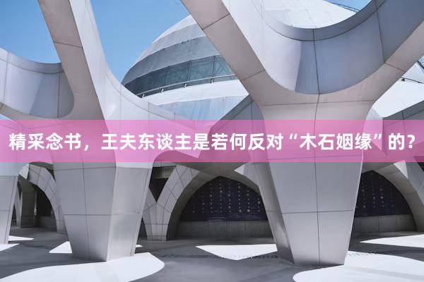 精采念书，王夫东谈主是若何反对“木石姻缘”的？