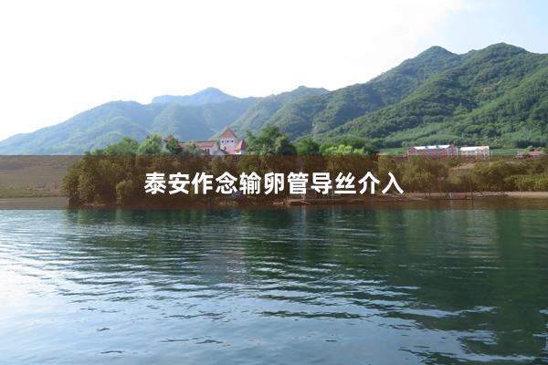 泰安作念输卵管导丝介入