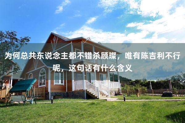 为何总共东说念主都不错杀顾璨，唯有陈吉利不行呢，这句话有什么含义