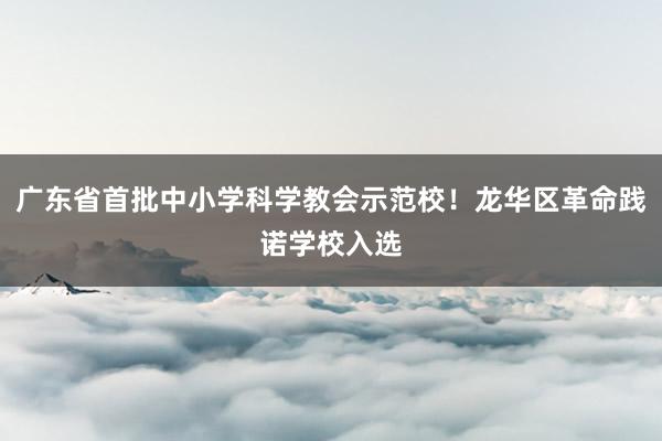 广东省首批中小学科学教会示范校！龙华区革命践诺学校入选