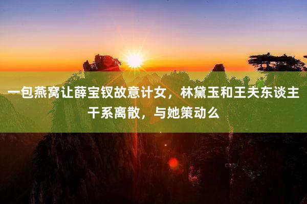 一包燕窝让薛宝钗故意计女，林黛玉和王夫东谈主干系离散，与她策动么