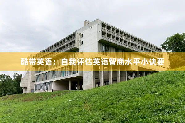 酷带英语：自我评估英语智商水平小诀要