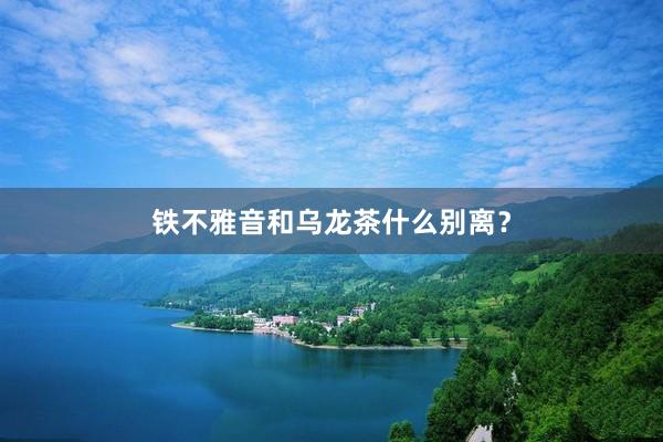 铁不雅音和乌龙茶什么别离？