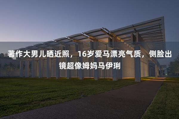 著作大男儿晒近照，16岁爱马漂亮气质，侧脸出镜超像姆妈马伊琍