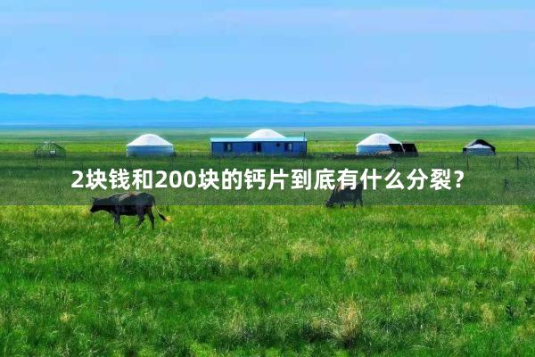 2块钱和200块的钙片到底有什么分裂？