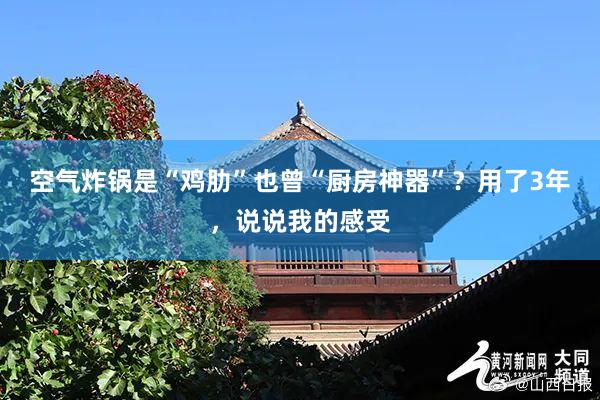 空气炸锅是“鸡肋”也曾“厨房神器”？用了3年，说说我的感受