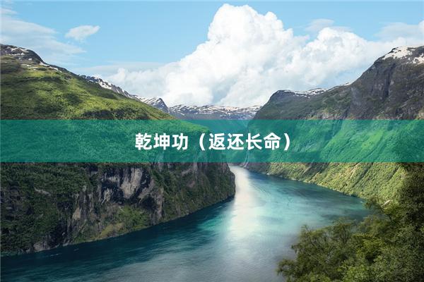 乾坤功（返还长命）