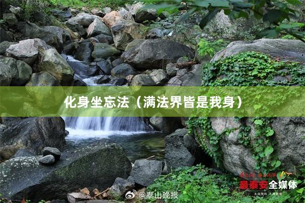化身坐忘法（满法界皆是我身）