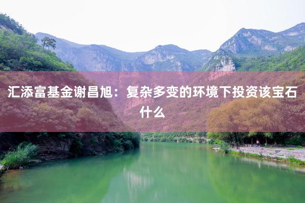 汇添富基金谢昌旭：复杂多变的环境下投资该宝石什么