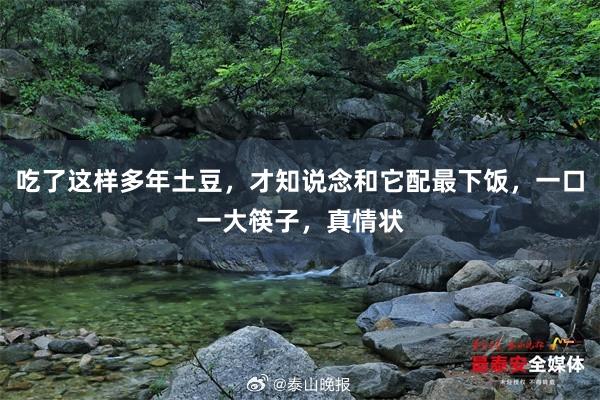 吃了这样多年土豆，才知说念和它配最下饭，一口一大筷子，真情状