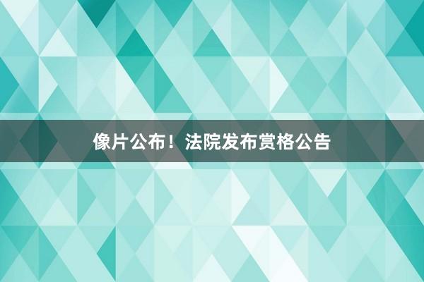 像片公布！法院发布赏格公告
