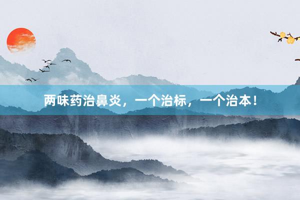 两味药治鼻炎，一个治标，一个治本！